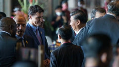 Trudeau, Chinese President Xi Jinping fulfill dealwith to face at G20 in Indonesia