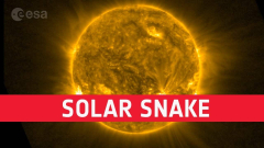 Solar snake found wriggling throughout Sun’s surfacearea