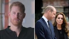 Prince Harry declares authorities were ‘happy to lie to safeguard my bro’ Prince William