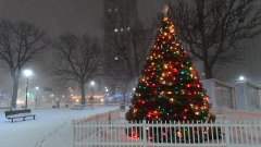 Dreaming of a white Christmas? Snow will be in much of the UnitedStates this year.