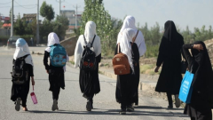 Ottawa prompted to act after Taliban shuts ladies out of greater education