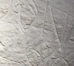 Vandals ruin 30,000 year old Koonalda Cave ancient rock art