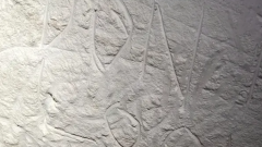 Vandals ruin 30,000 year old Koonalda Cave ancient rock art