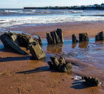 Remains of wood ship appear, then vanish on beach in North Rustico, P.E.I.