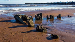 Remains of wood ship appear, then vanish on beach in North Rustico, P.E.I.