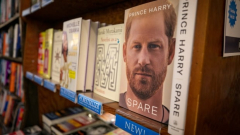 How a plethora of Harry headings assisted move Spare to early sales success