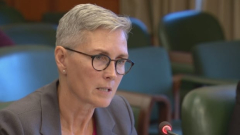 UBC issorryfor its managing of Turpel-Lafond origins issues