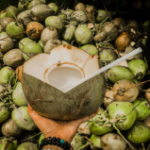 The recovery power of coconut water