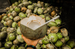 The recovery power of coconut water