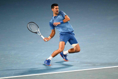 Djokovic fights into Australian Open last 16