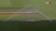 Ladies’s cricket: Sprinklers mistakenly triggered minutes priorto videogame 2 of Australia’s T20 series with Pakistan