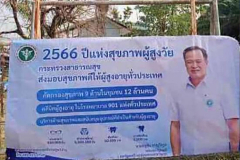 Anutin posters draw allegations of electioneering