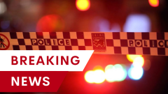 Man rushed to hospital after Sydney dog attack