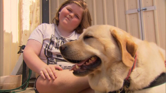 Impairment support petdog enabled at Murray Bridge High School after mom’s problems