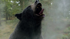 Drug Bear: Killer title, however the film kinda blows