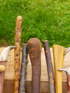 How a wood whittling pastime endedupbeing a long-lasting enthusiasm to develop strolling sticks