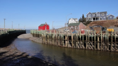 N.S. oceanside hamlet bands together to safeguard itself from environment modification