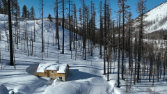 Dramatic photos show aftermath of historic snowfall, winter storms blanketing California