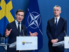 Hungarian delegation backs Sweden’s NATO application