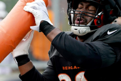 B.J. Hill projects for Bengals to re-sign complimentary representative Germaine Pratt