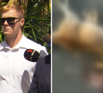 Teenager who intentionally wentafter and hit wallabies in his 4WD fronts court