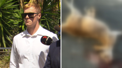 Teenager who intentionally wentafter and hit wallabies in his 4WD fronts court