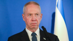 Israeli defence minister calls on federalgovernment to stop judicial reforms
