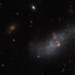 Hubble sees a small dwarf galaxy without a specified structure