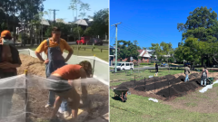 Queensland guerilla garden: How this neighborhood garden conflict intensified