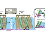 EPFL scientists haveactually sentout and saved information utilizing charge-free magnetic waves