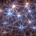 The star-shaped cells in brain might be details regulators