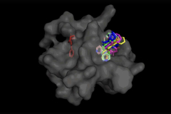 Enhancing drug discovery with generative diffusion designs