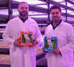 B.C. vertical farming business states it might produce up to 6 million bags of salad greens a year