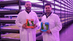 B.C. vertical farming business states it might produce up to 6 million bags of salad greens a year