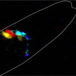 Managing the activity of nervecells utilizing photons as neurotransmitters