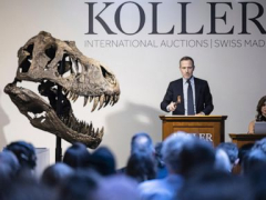 T. rex skeleton anticipated to bring millions at Zurich auction