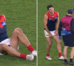 Melbourne superstar Christian Petracca clears the air after injury scare on full-time siren