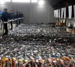 Serbia states 13,500 weapons gathered in amnesty following mass shootings