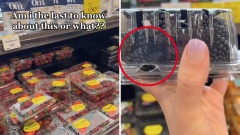 How to choice best grocerystore berries: Shopper’s ‘system’ leaves TikTok in wonder