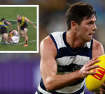 Geelong forward Ollie Henry on the sidelines after bursting testicle