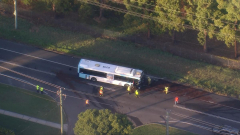 Truck collides with bus in Windsor, sparking major delays for Sydney motorists