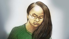 New murder trial bought for Ontario lady Jennifer Pan in plot to kill momsanddads