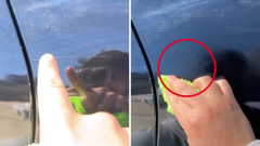 TikTok video reveals how coconut oil and vinegar can be utilized to getridof scratches from vehicle