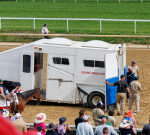 ‘Overkill’ or status quo? Recent horse racing deaths cast shadow priorto Preakness Stakes