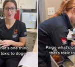 Harmful foods for petdogs: TikTok video sees veterinarian personnel expose the unexpected components you oughtto neverever feed