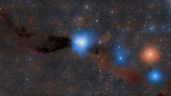 A set of baby stars recorded rupturing from their natal cocoons of dust and gas