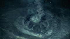 A distinct brand-new volcano hasactually been found in the Barents Sea