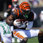 Bengals will host Packers for joint practice