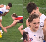 North Melbourne co-captain Jy Simpkin loses bearings in frightening concussion occurrence versus Essendon