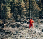 Huge forest fires are finish much of Quebec in haze and smoke